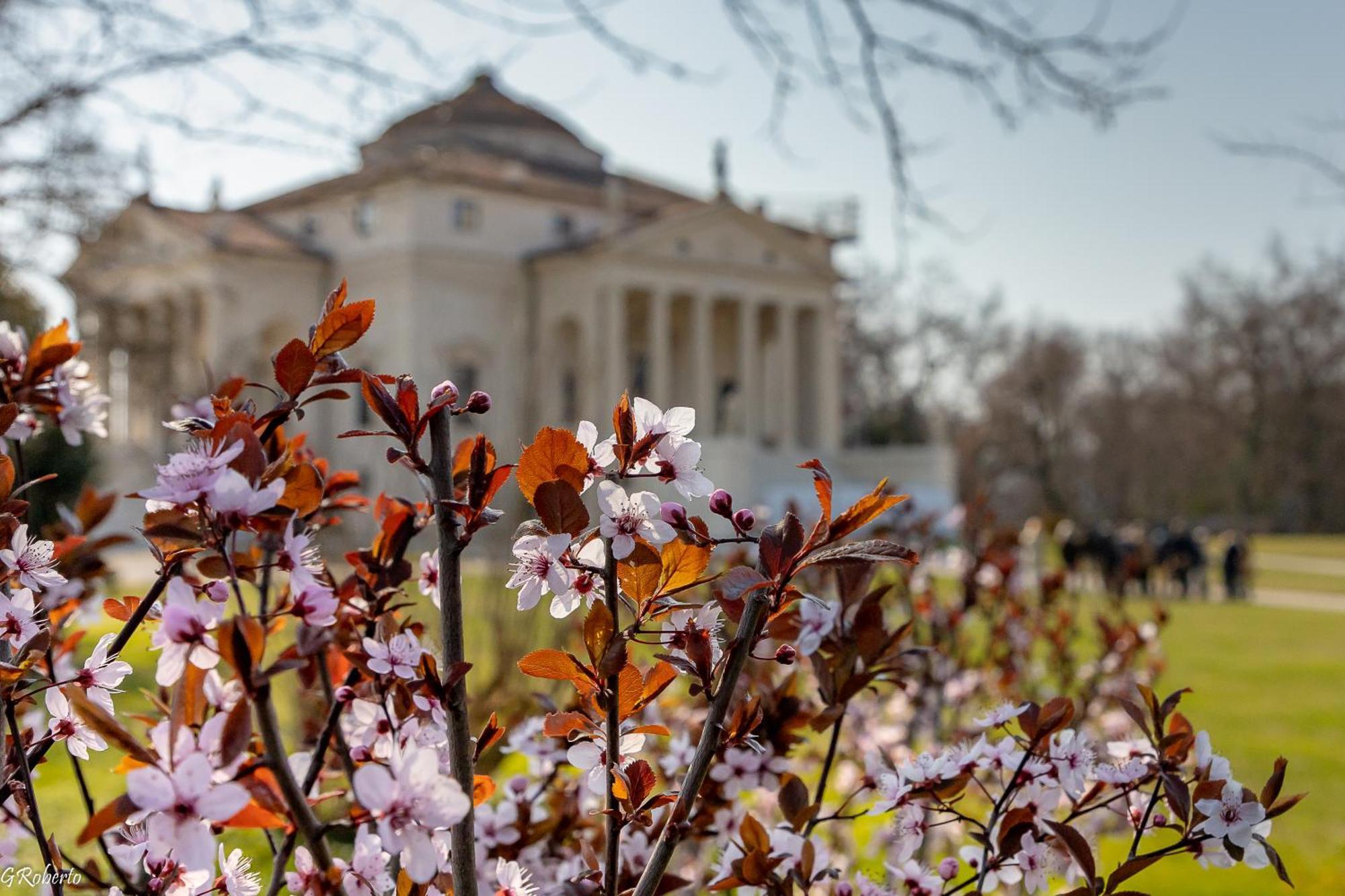 Appartamentopalladio140 Vicenza Exterior foto